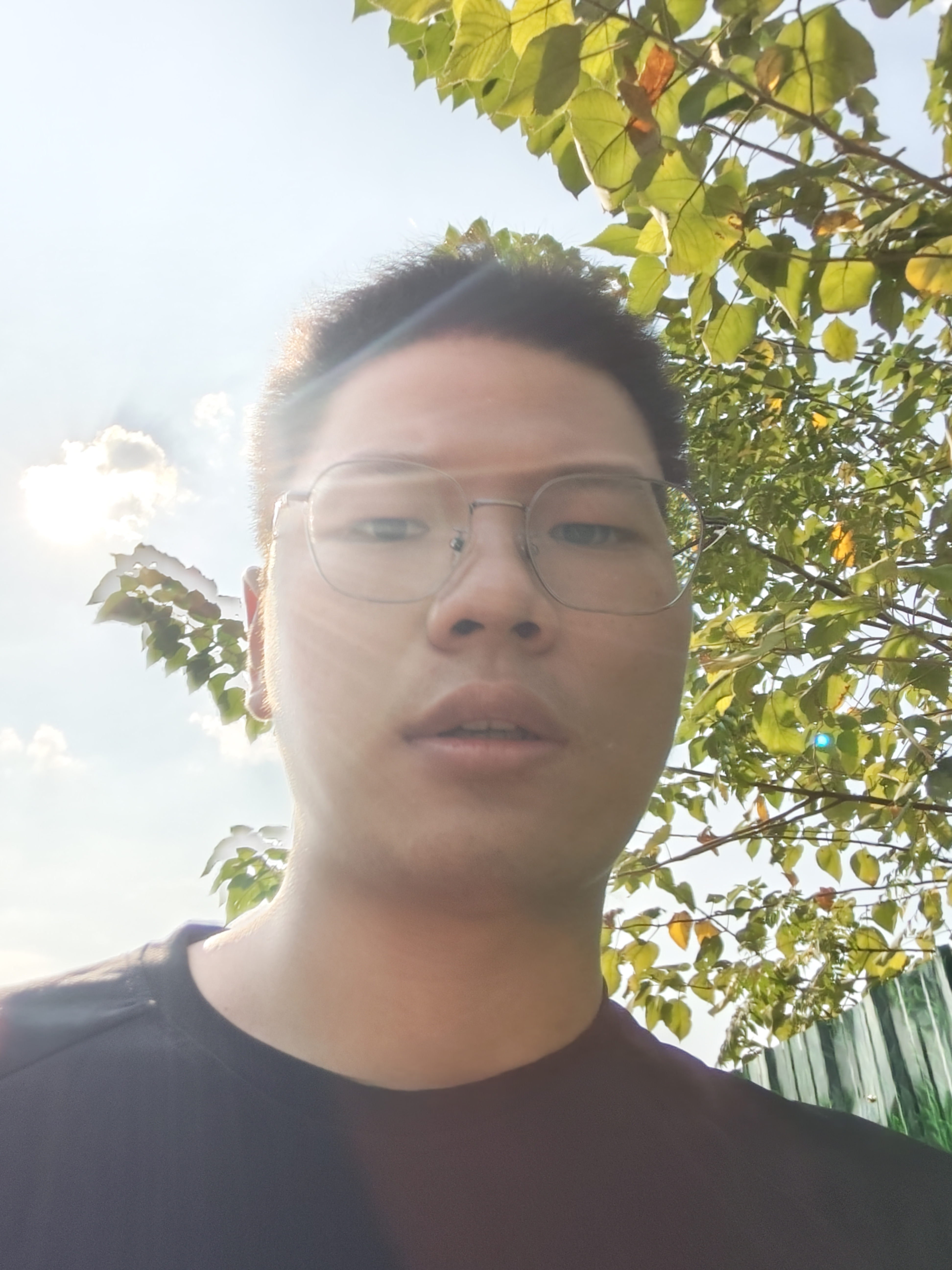 1786172217461